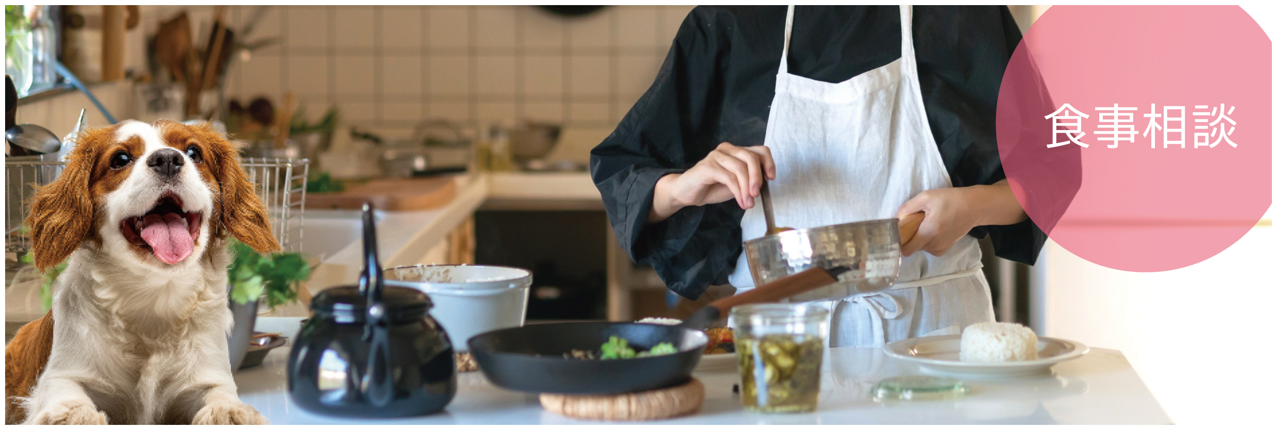 食事相談
